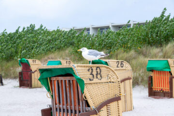 Fehmarn – Besonderheiten die man gesehen haben sollte